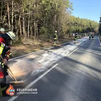 06-20260306 Ölspur B16.jpg