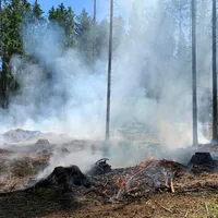 01-20210614_waldbrand_kleinaign.jpg