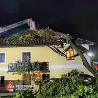 01-20230622-Baum auf Haus Döfering.jpg