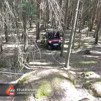 20260525 B Wald klein Weiding.jpg