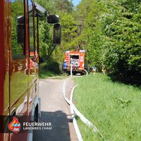 03-20220511-waldbrand_wilting.jpg