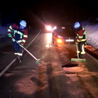 01-20210111-vu_reh_gotzendorf.jpg