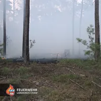 20260527 Waldbrand 15.jpg