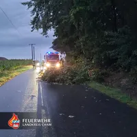 unwetter_im_landkreis_cham_-_3.jpg