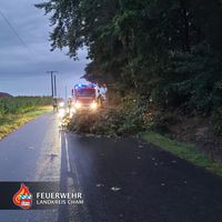unwetter_im_landkreis_cham_-_3.jpg