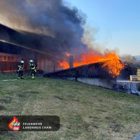 brand-koez-1.jpg