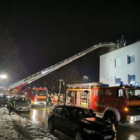 06-20210128-brand_roding.jpg