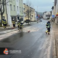 06-20221205-olspur_koz.jpg