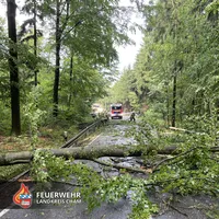 03-20250623 Unwetter Neukirchen.jpg