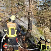 20250410 Waldbrand 2.jpg